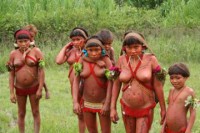 /album/america-latina/thumbnail-yanomami-jpg/